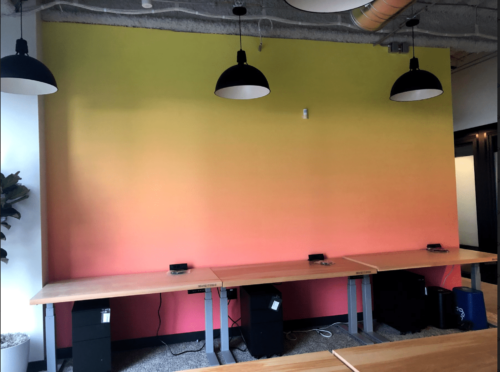 WeWork Commercial Wall Covering